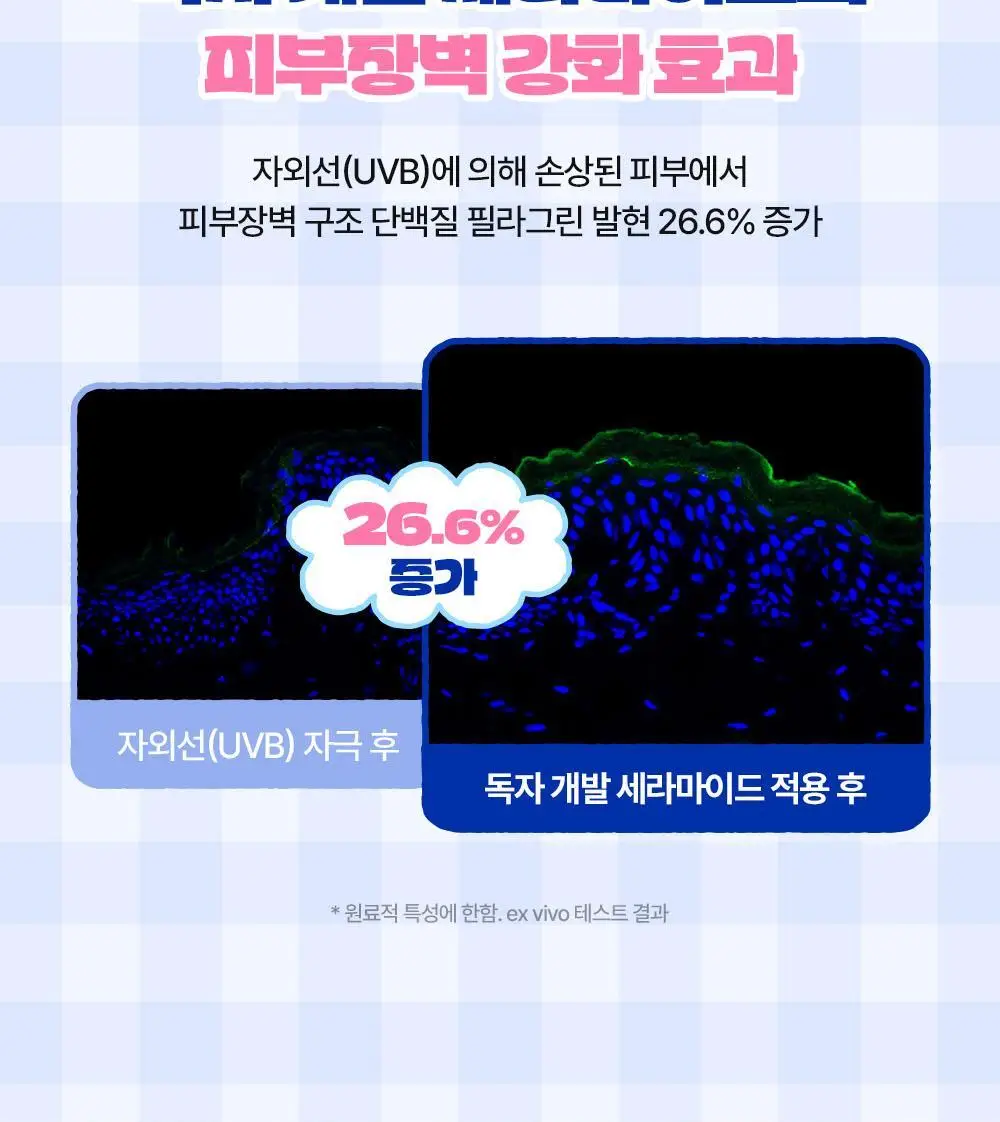 [수분장벽/포곤콜라보] 리얼베리어 세라 수분 장벽 선크림 50ml 기획 (+띠부실 랜덤 증정) 상세페이지 10